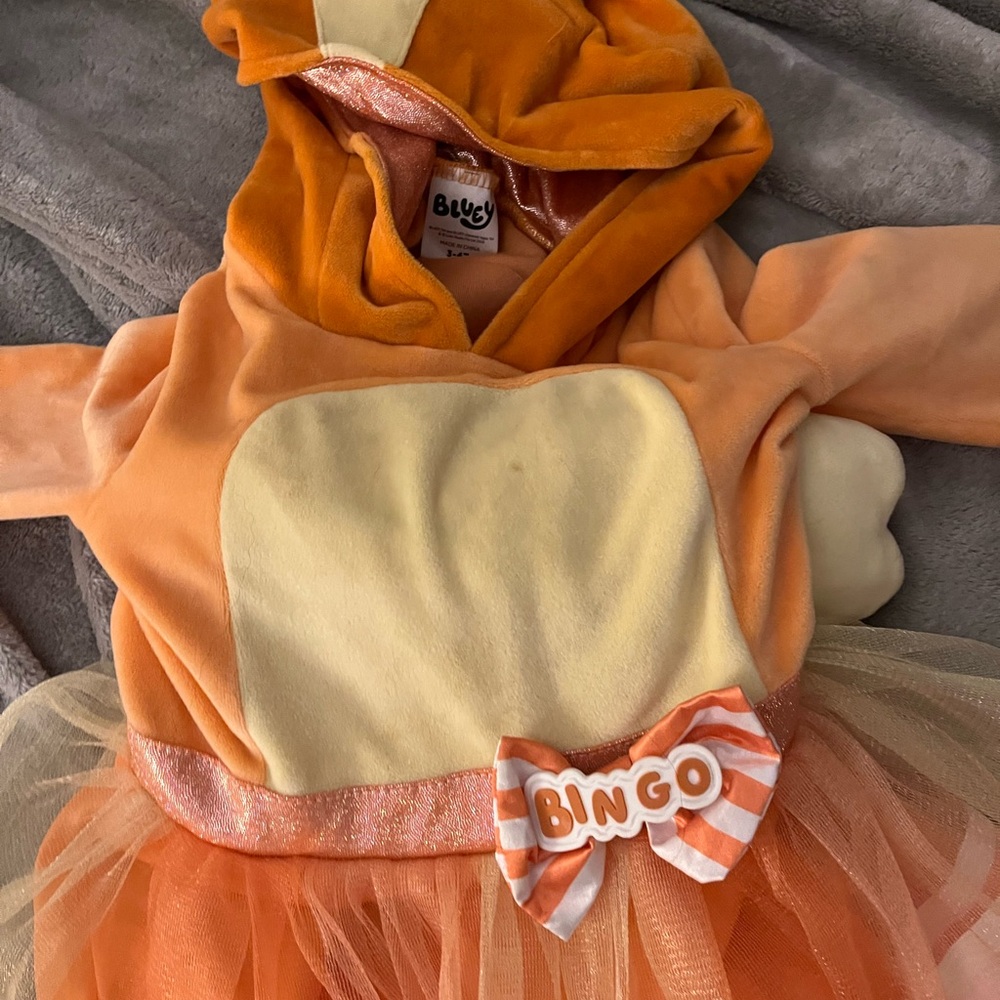 Bingo costume